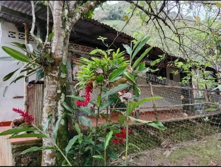 Vendo finca en La Vega Cundinamarca - 1