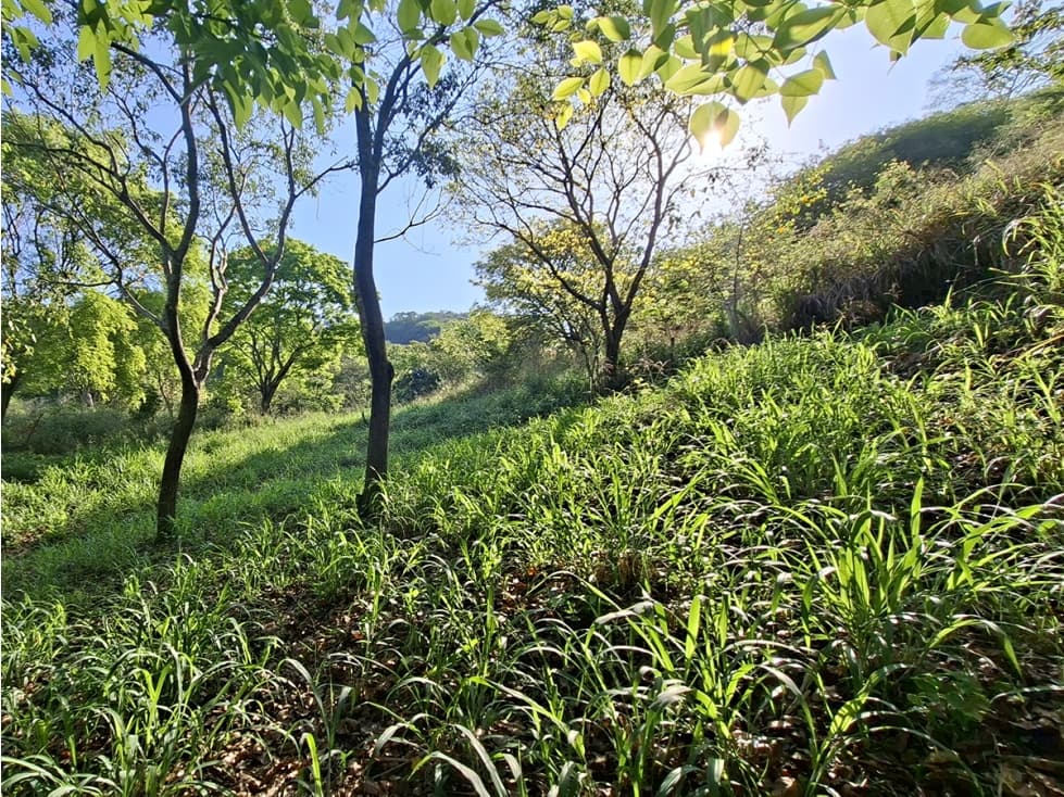 Lote Campestre de 2.000 m2 en Venta en Tigrera, Vía Minca, Santa Marta - 1