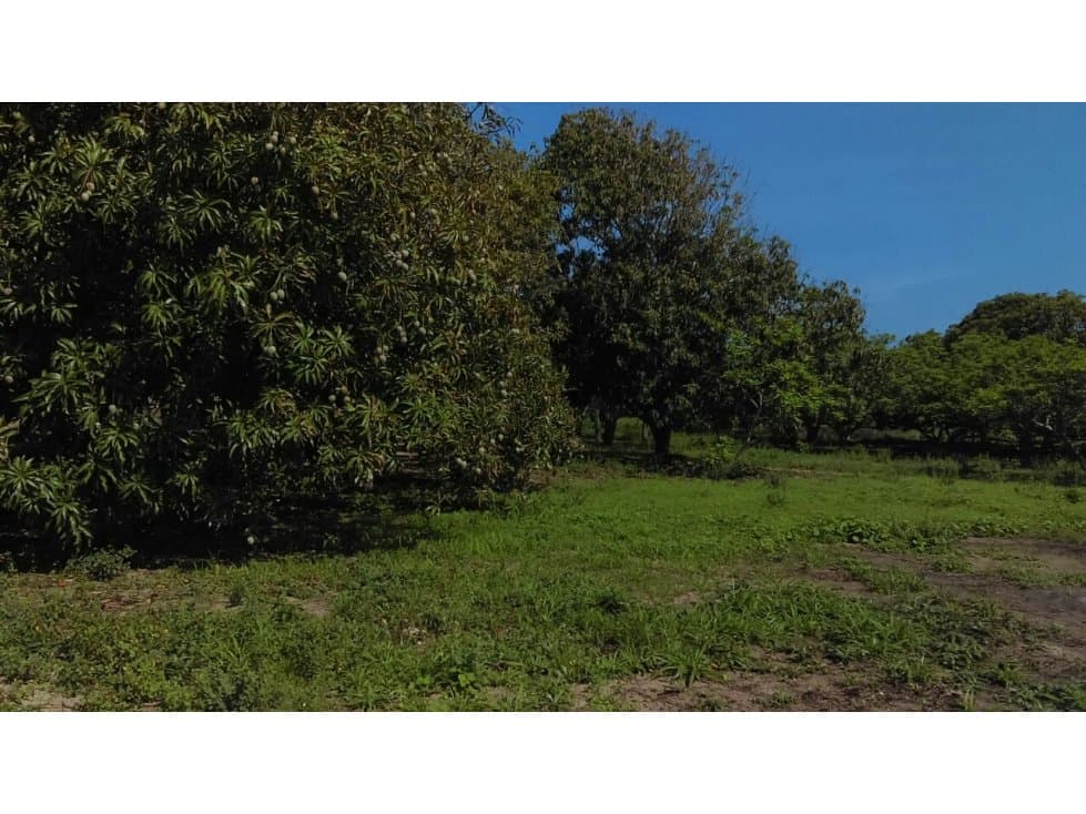 Finca en Venta, Malambo, Atlántico - 1