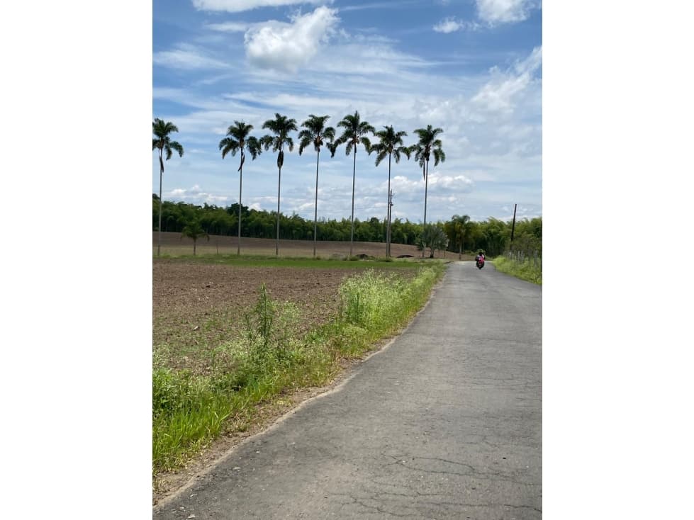 LOTE EN VENTA - SECTOR CERRITOS, VEREDA LOS PLANES - 1