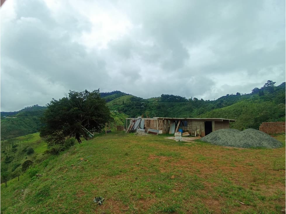 EN VENTA FINCA DE 35 HECTÁREAS EN ROLDANILLO VALLE - 1