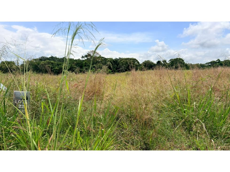 EN VENTA LOTE EN CERRITOS PERREIRA - 1