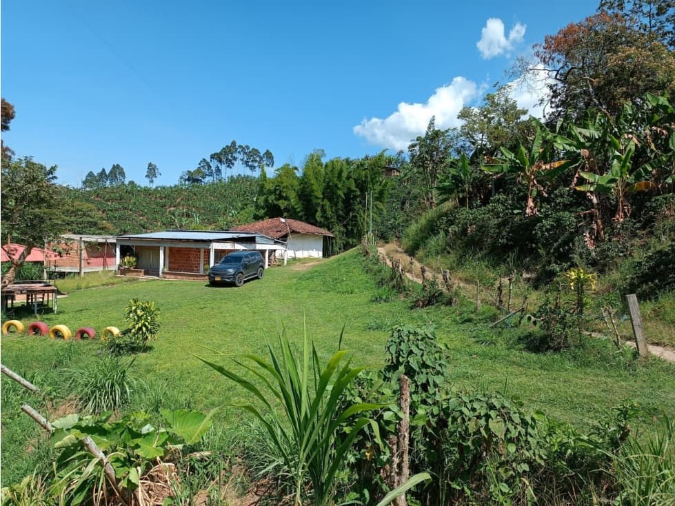 EN VENTA FINCA EN BELEN DE UMBRIA - 1