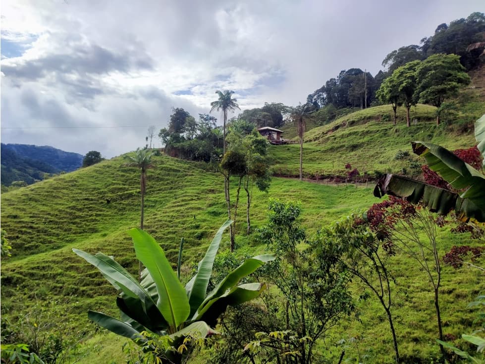 EN VENTA LOTE EN PARCELACIÓN EN MARSELLA - 1