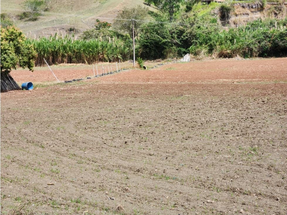 VENDO LOTE DE 47.000M2 EN LA CUMBRE(M&G)CW:7074127 - 1