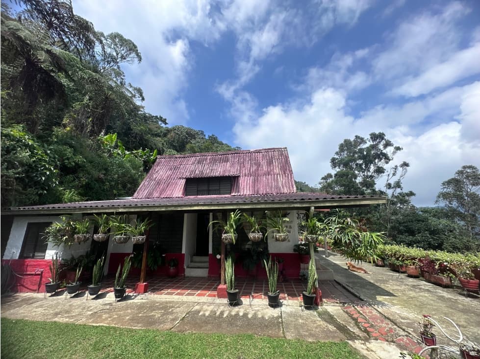 VENDO FINCA EN DAPA KM17 EN PARCELACION (B.V) CW:9910873 - 1