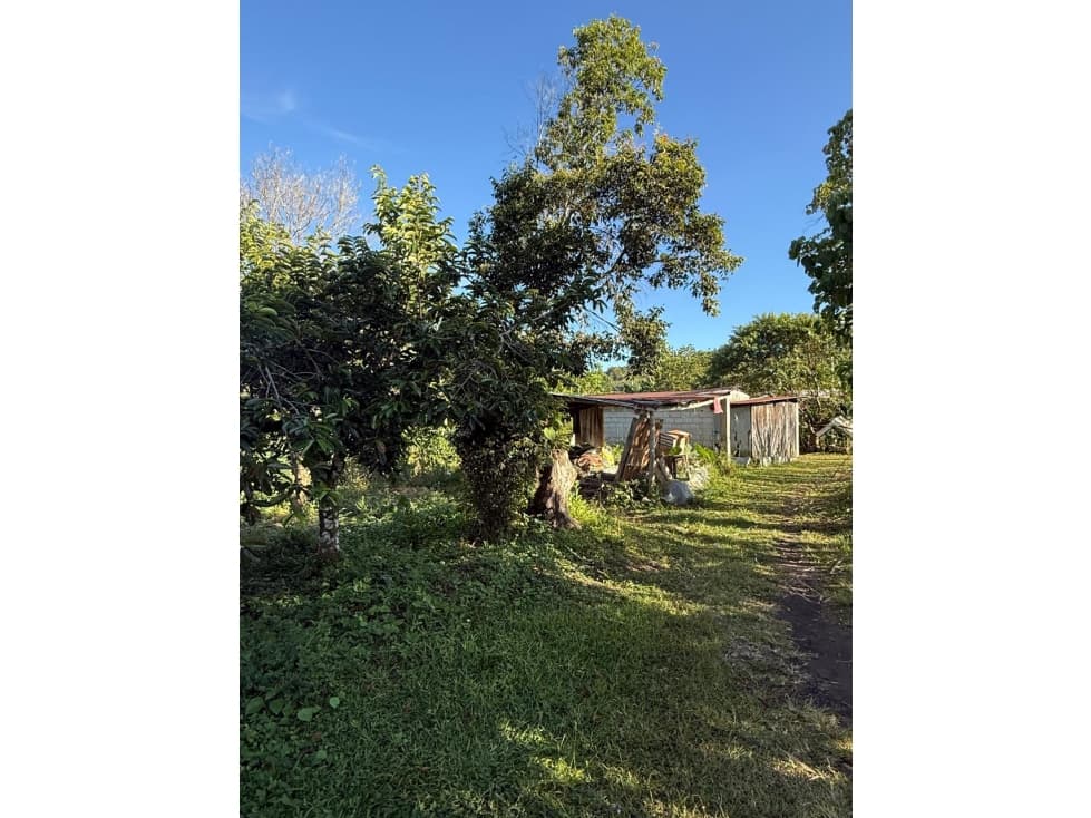 venta Finca vereda La Mesa, Mariquita Tolima - 1