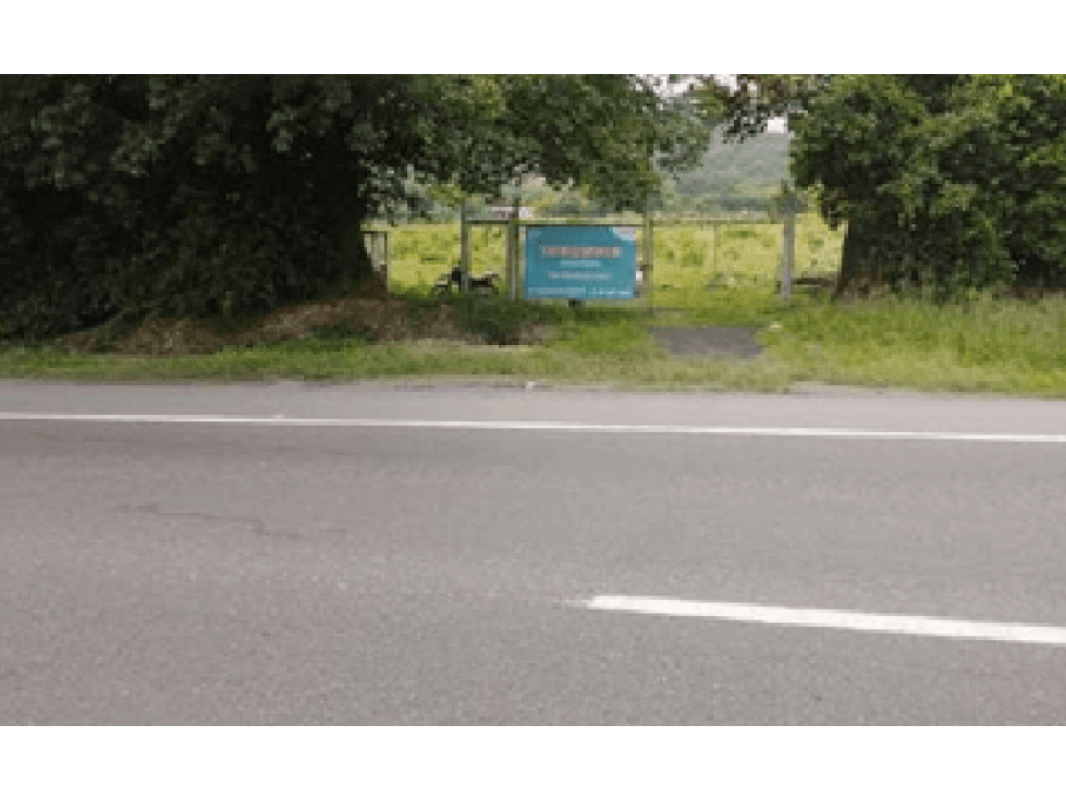 LOTE 9600 M2 EN VENTA SOBRE VIA BUGA - TULUA USO AGRO INDUSTRIAL - 1