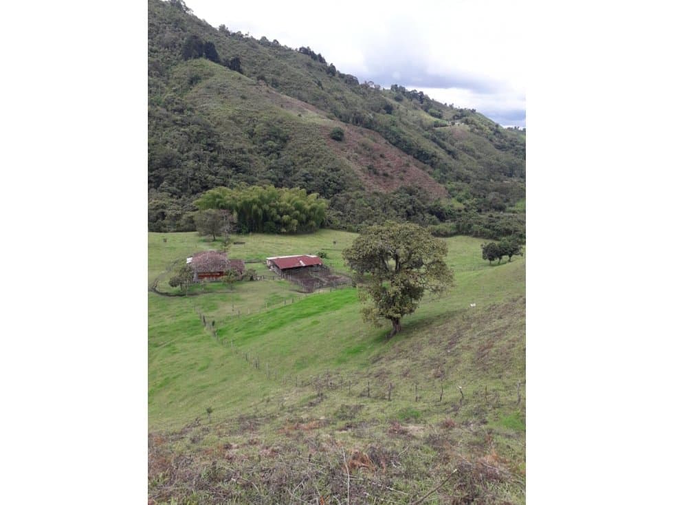 EN VENTA FINCA EN SALENTO, QUINDÍO - 1