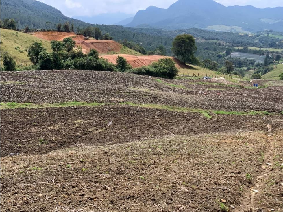 Lote ubicado en el municipio de La Unión Antioquia. - 1