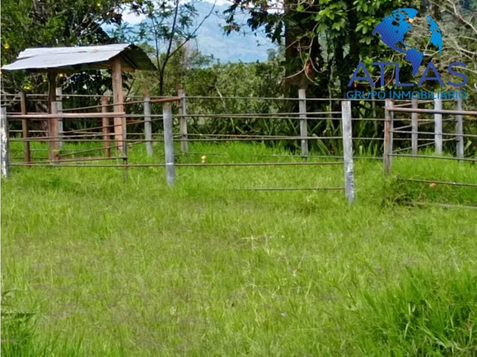 VENTA EXCELENTE FINCA  EN GUADALUPE SANTANDER   COD: 1029 - 1