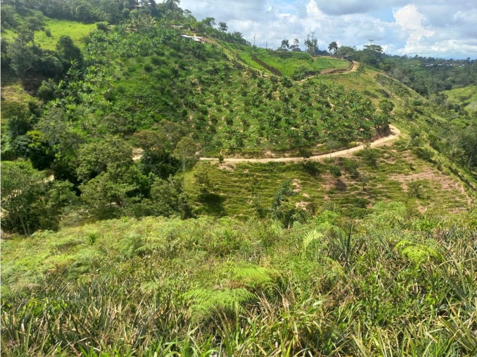 VENTA DE FINCA EN LEBRIJA SANTANDER COD:1083 - 1