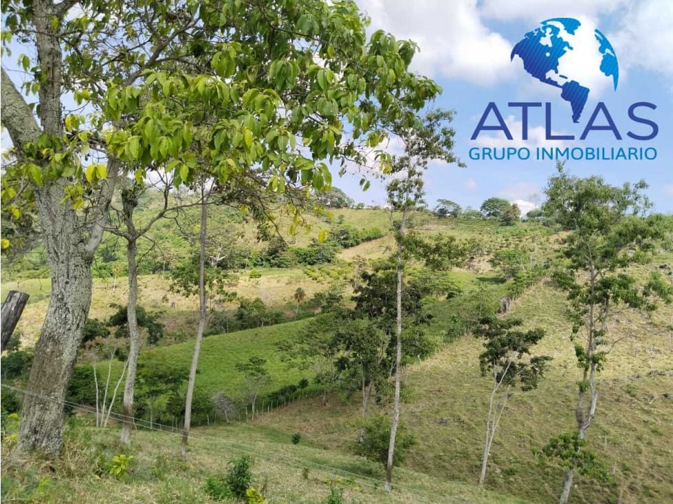 VENTA DE  FINCA EN LEBRIJA /SANTANDER COD:829 - 1