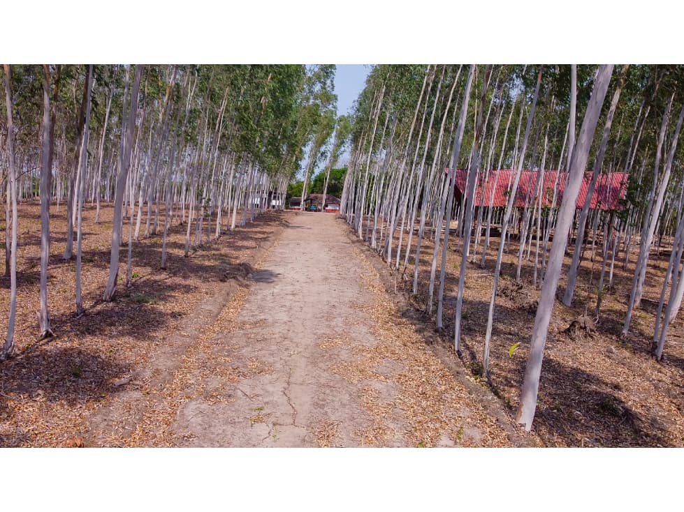 LOTE EN VENTA EN BARANOA - 1