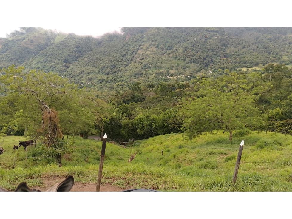 Lote en Venta en Amagá, sector Camilo C - 1