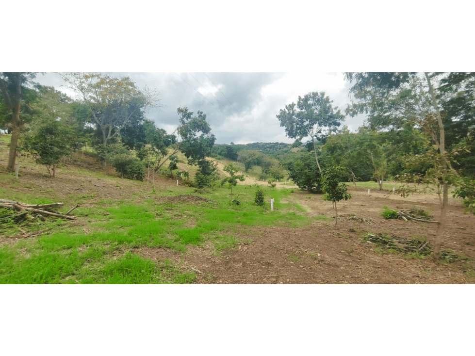 Venta de lote de 1992 M2 en 150 mill en San Joaquin Ins de La Mesa - 1