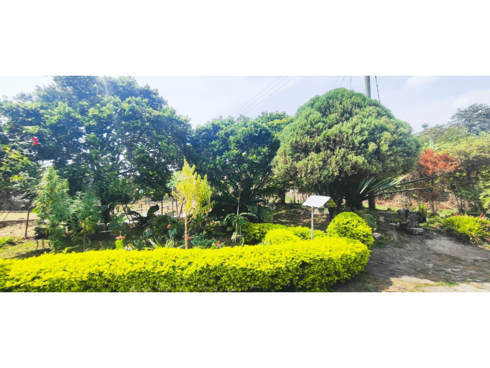 Venta de casalote de 543 M2 en 450 mill en La Mesa Cund, COL - 1