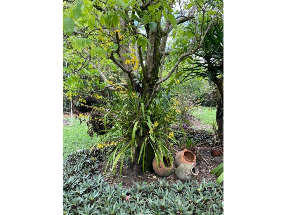 CASA INDEPENDIENTE EN PANCE CON PISCINA Y RODEADA DE VERDE - 1