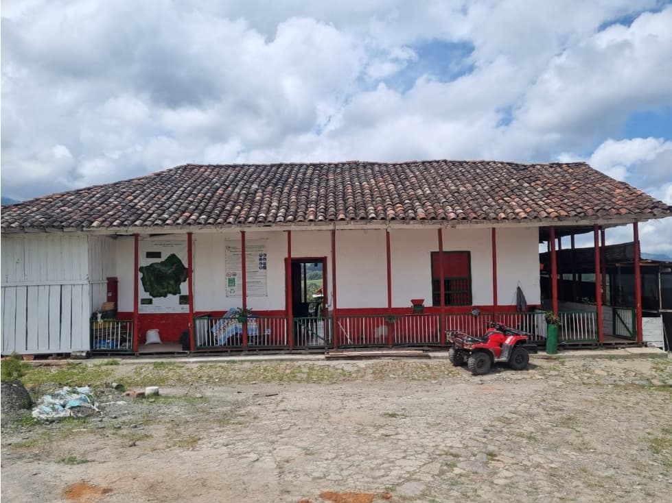 FINCA DE PRODUCCIÓN DE AGUACATE HAZZ PARA LA VENTA, SALAMINA - 1