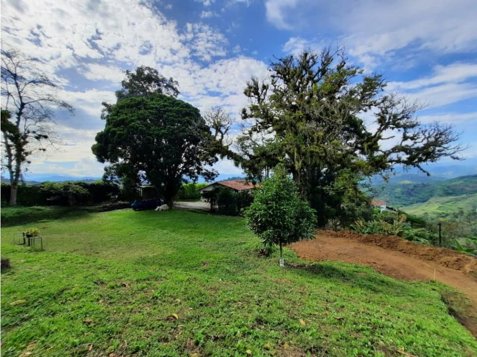 LOTE EN VENTA SECTOR PALESTINA - 1