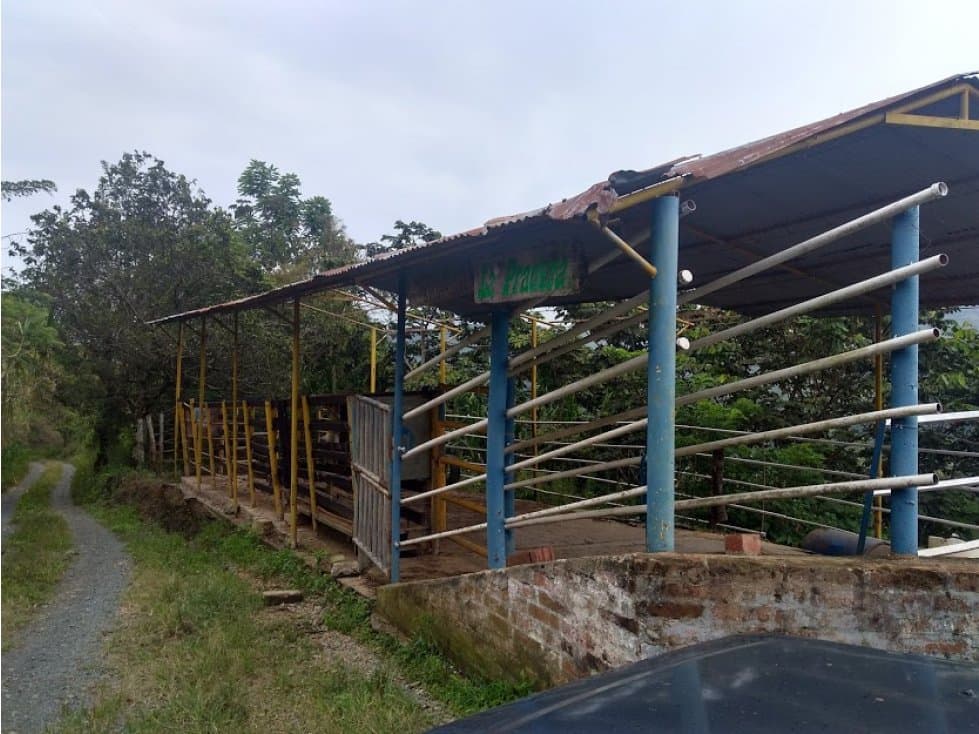 FINCA EN VENTA BELALCAZAR, CALDAS. - 1