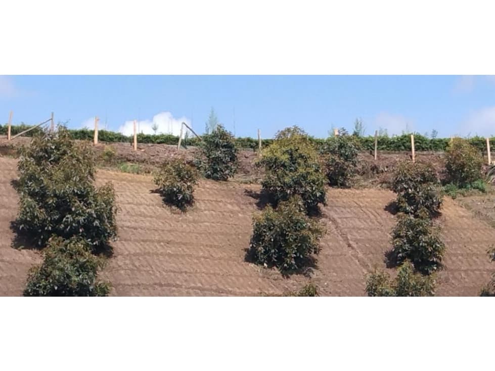 Lote en Venta en Marinilla - 1