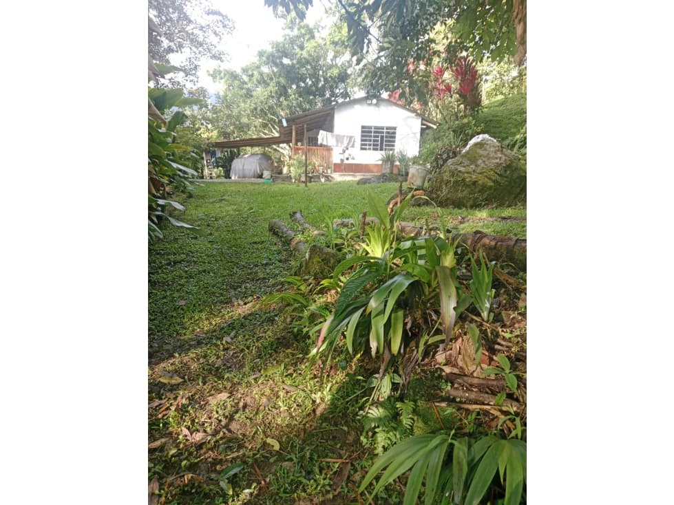 SE VENDE FINCA EN COCORNA - 1