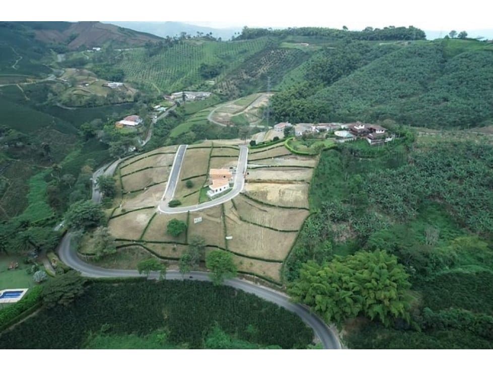 Venta Lote Conjunto Campestre en Chinchiná Cod 615952 - 1