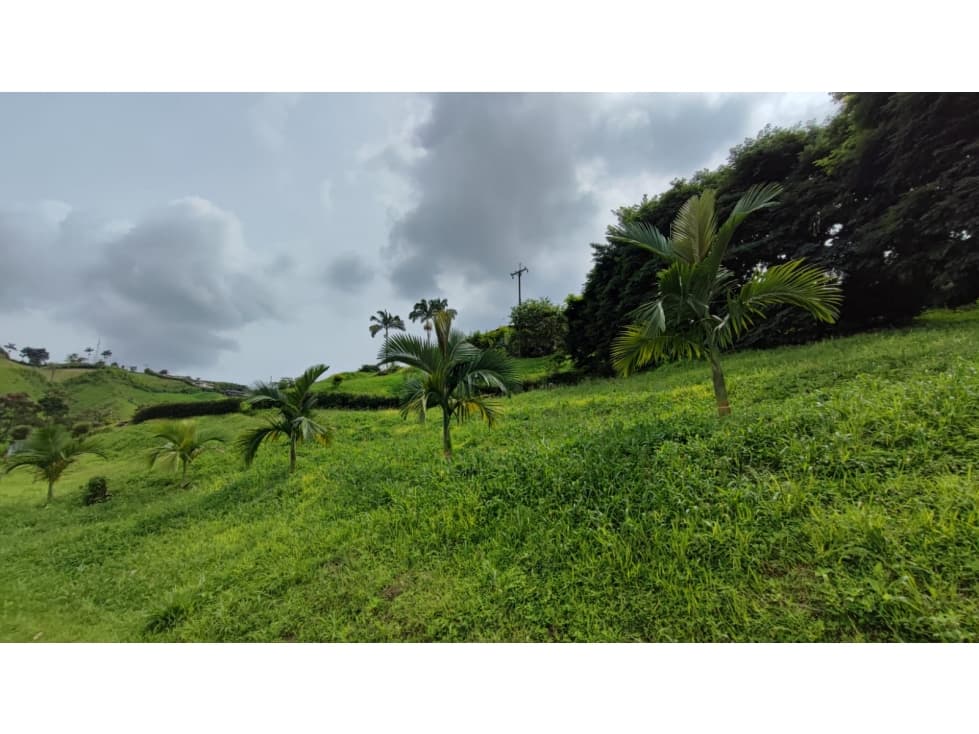 Venta Lote Campestre, Chinchiná COD 7562846 - 1