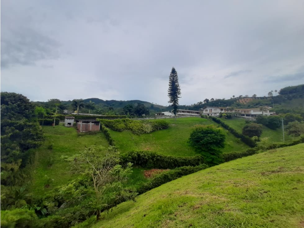 Venta Lote en Chinchiná, Manizales Cod 5207692 - 1