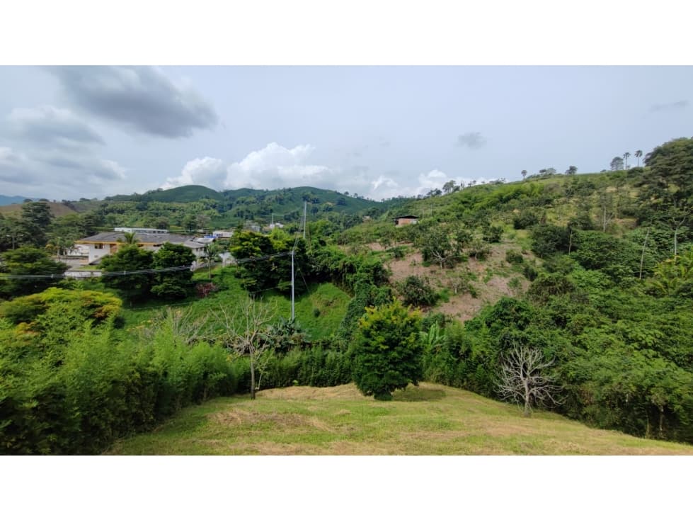 Venta Lote Campestre, Chinchiná COD 7525171 - 1