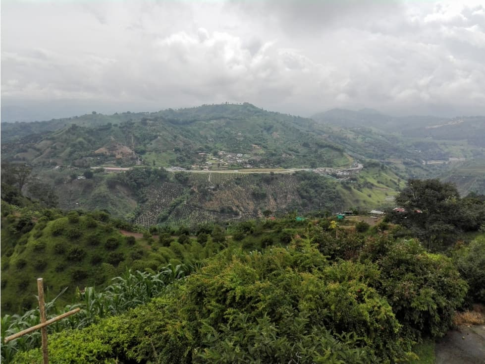 Venta Finca en Palestina, Caldas Cod 4039856 - 1