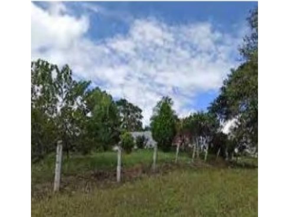 Lotes - Anapoima - 1