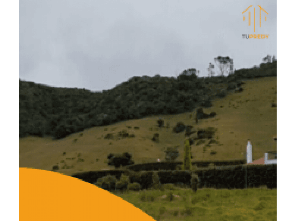 Lote - Agrupación Encenillos de Sindamanoy, Chia - 1