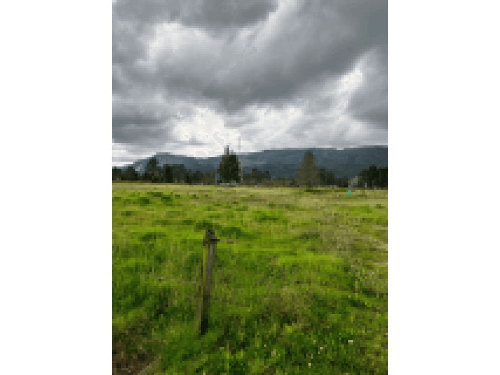 Lote - Terreno en Cogua, Cundinamarca - 1