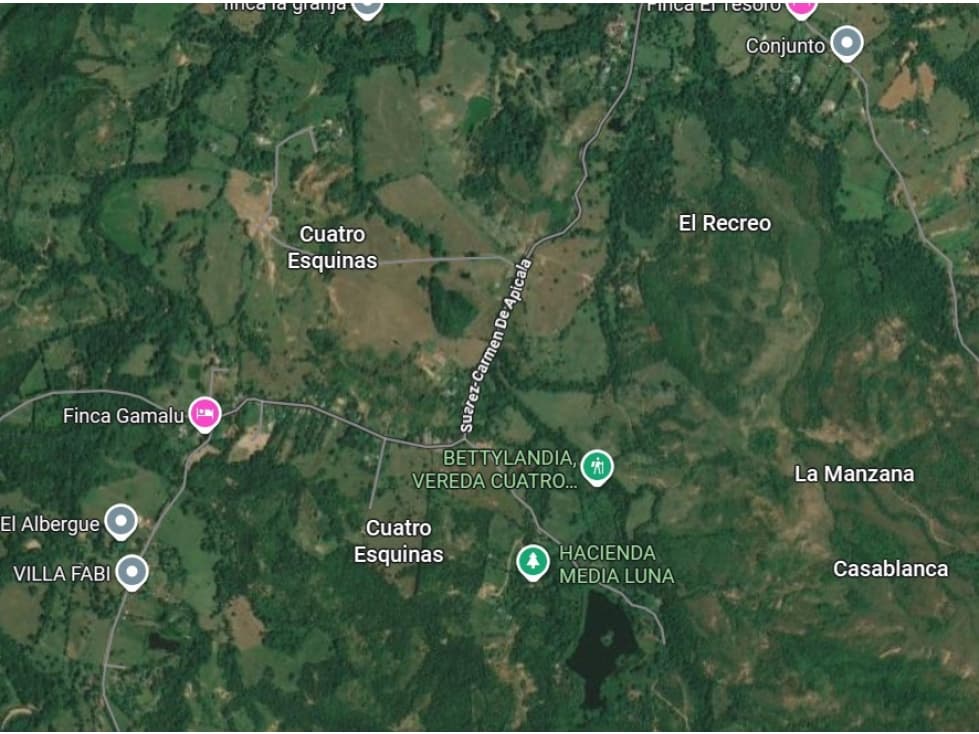 LOTE 11 Y CASA DE LA VEREDA CUATRO ESQUINAS CARMEN DE APICALA, TOLIMA - 1