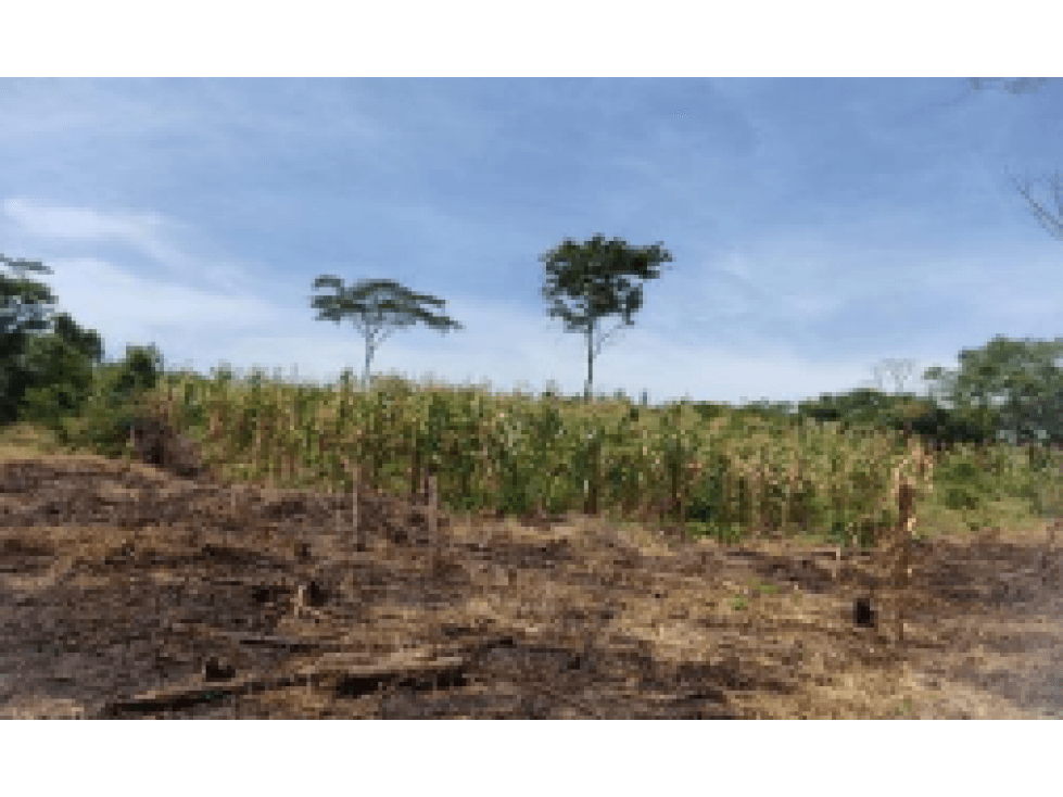 Finca - Terreno en El Carmen de Bolivar, Bolivar - 1