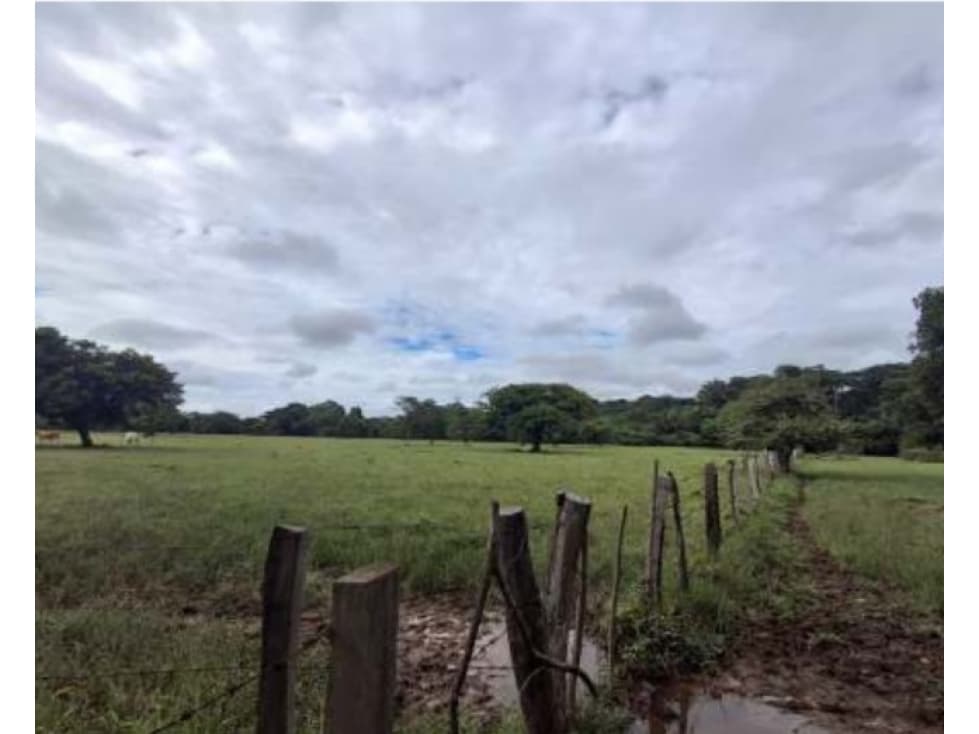 Lote Veda Jaguito Paz de Ariporo Casanare - 1