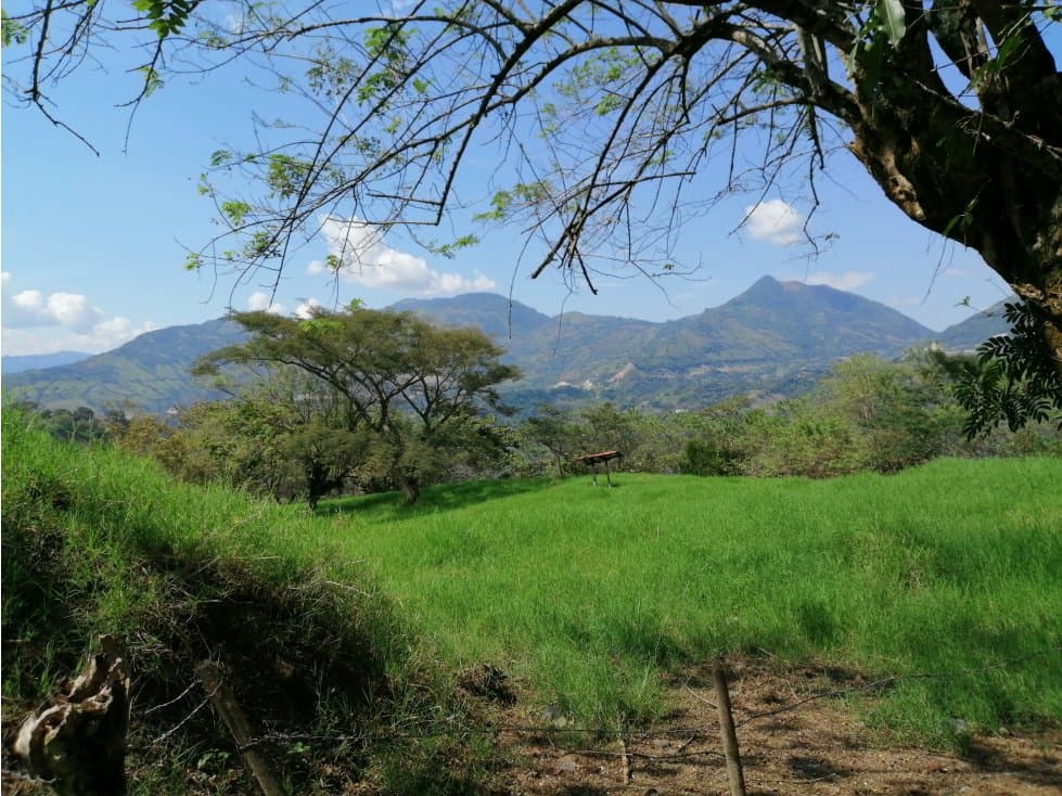 VENTA LOTE VENECIA , SUROESTE ANTIOQUEÑO. - 1