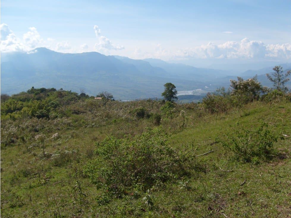 VENTA LOTE LA PINTADA, SUROESTE ANTIOQUEÑO UNIDAD CERRADA - 1