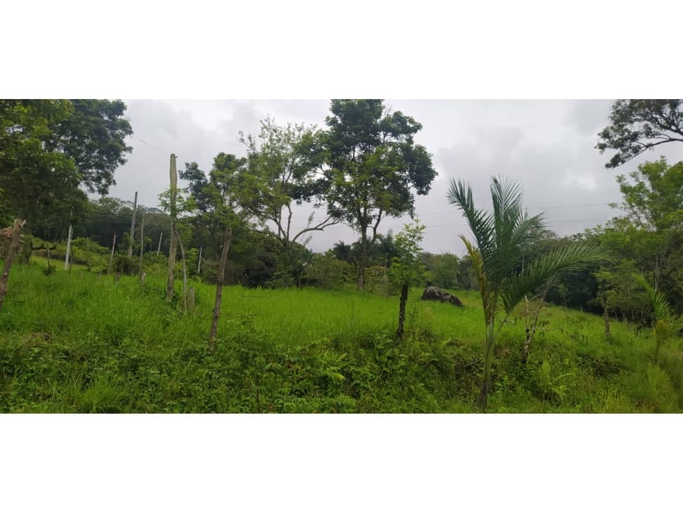 VENTA FINCA VENECIA, SUROESTE ANTIOQUEÑO - 1