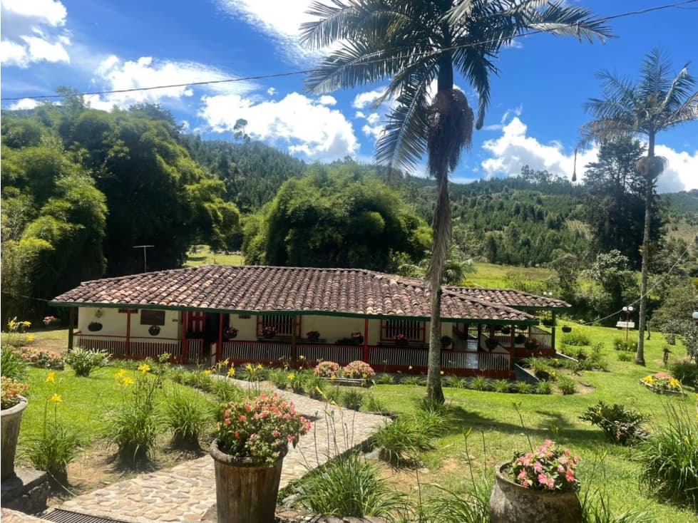 VENTA DE FINCA EN JERICO , SUROESTE ANTIOQUEÑO - 1