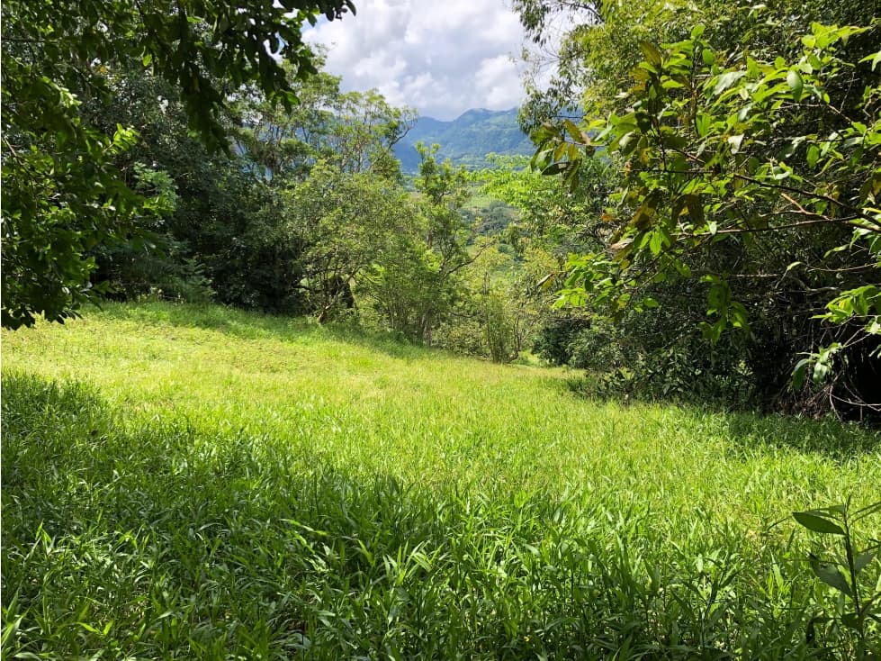 VENTA DE LOTE EN PUENTE IGLESIAS SUROESTE DE ANTIOQUIA - 1