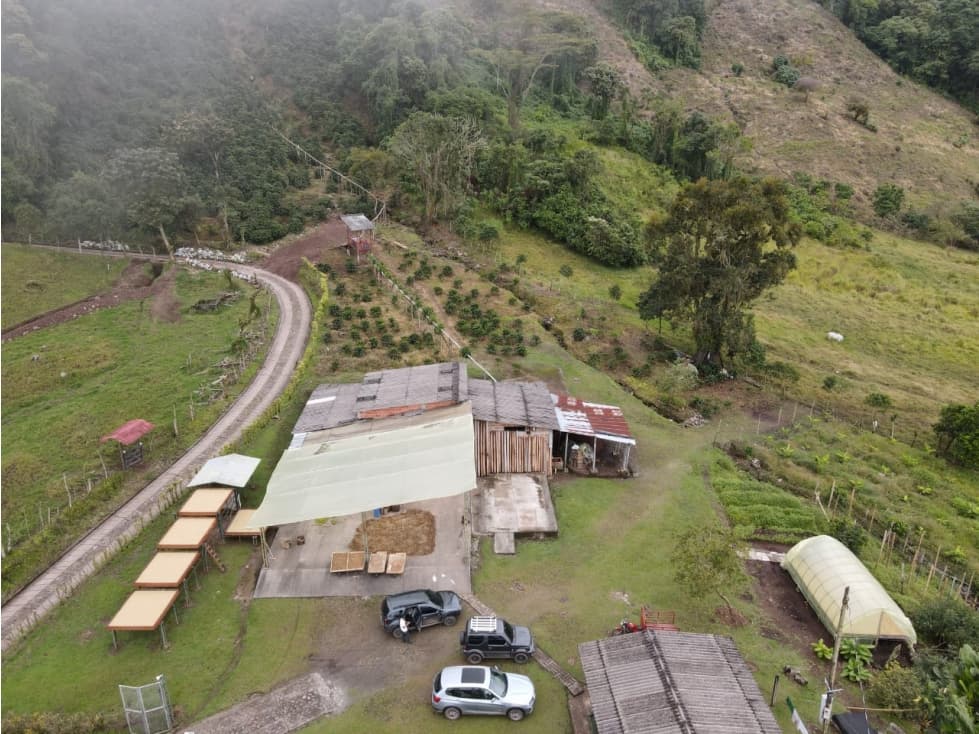 VENTA FINCA CAFETERA TÁMESIS SAN PABLO, SUROESTE ANTIOQUEÑO - 1