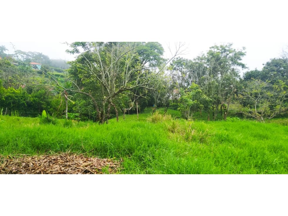 VENTA LOTE VENECIA, SUROESTE ANTIOQUEÑO - 1