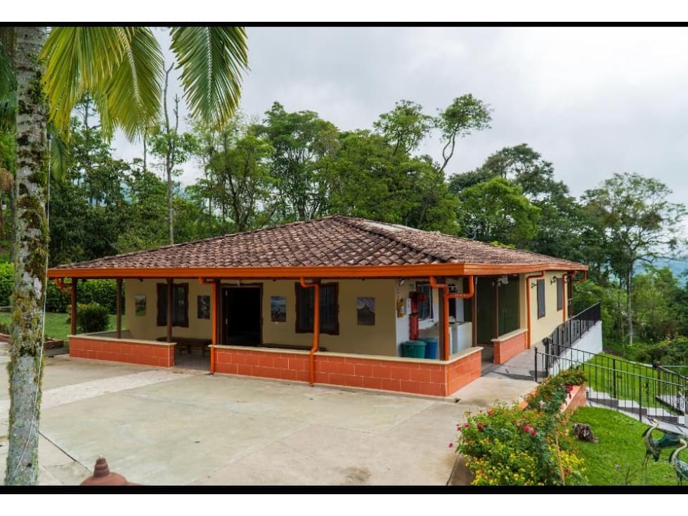 VENTA FINCA TÁMESIS, SUROESTE ANTIOQUEÑO - 1