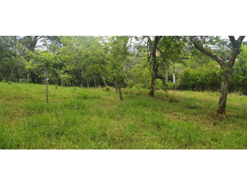 VENTA LOTE VENECIA, SUROESTE ANTIOQUEÑO - 1