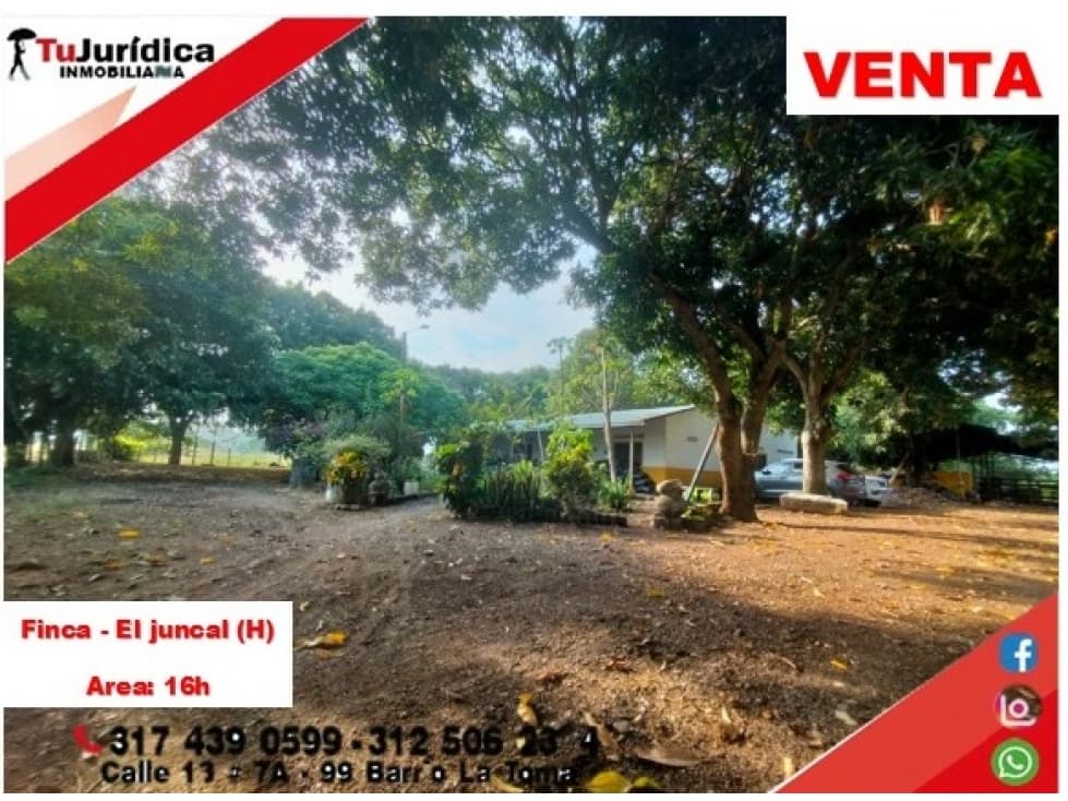 SE VENDE FINCA PRODUCTIVA 16H - EL JUNCAL (PALERMO - HUILA - COL) - 1