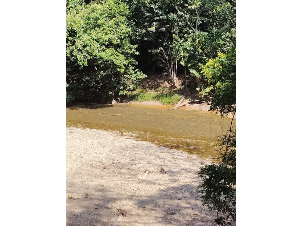 venta de finca en el salado, ibague - 1