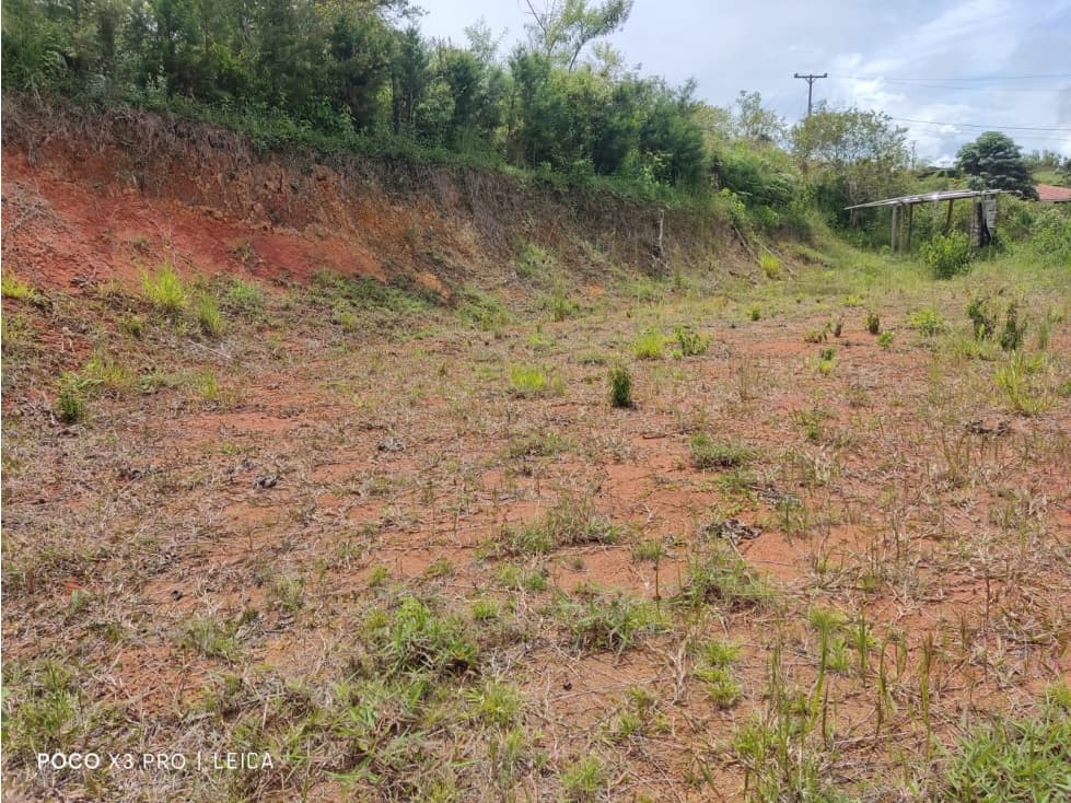 VENDO LOTE, Lago Calima, Bosques de Calima - 1